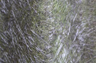 Sandlow Green fibreglass roof work