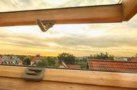 rated Sandlow Green roof window companies